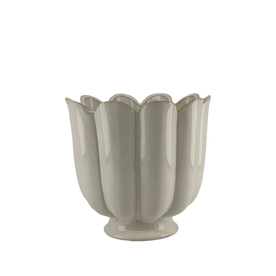 Krukke petulia - hvit