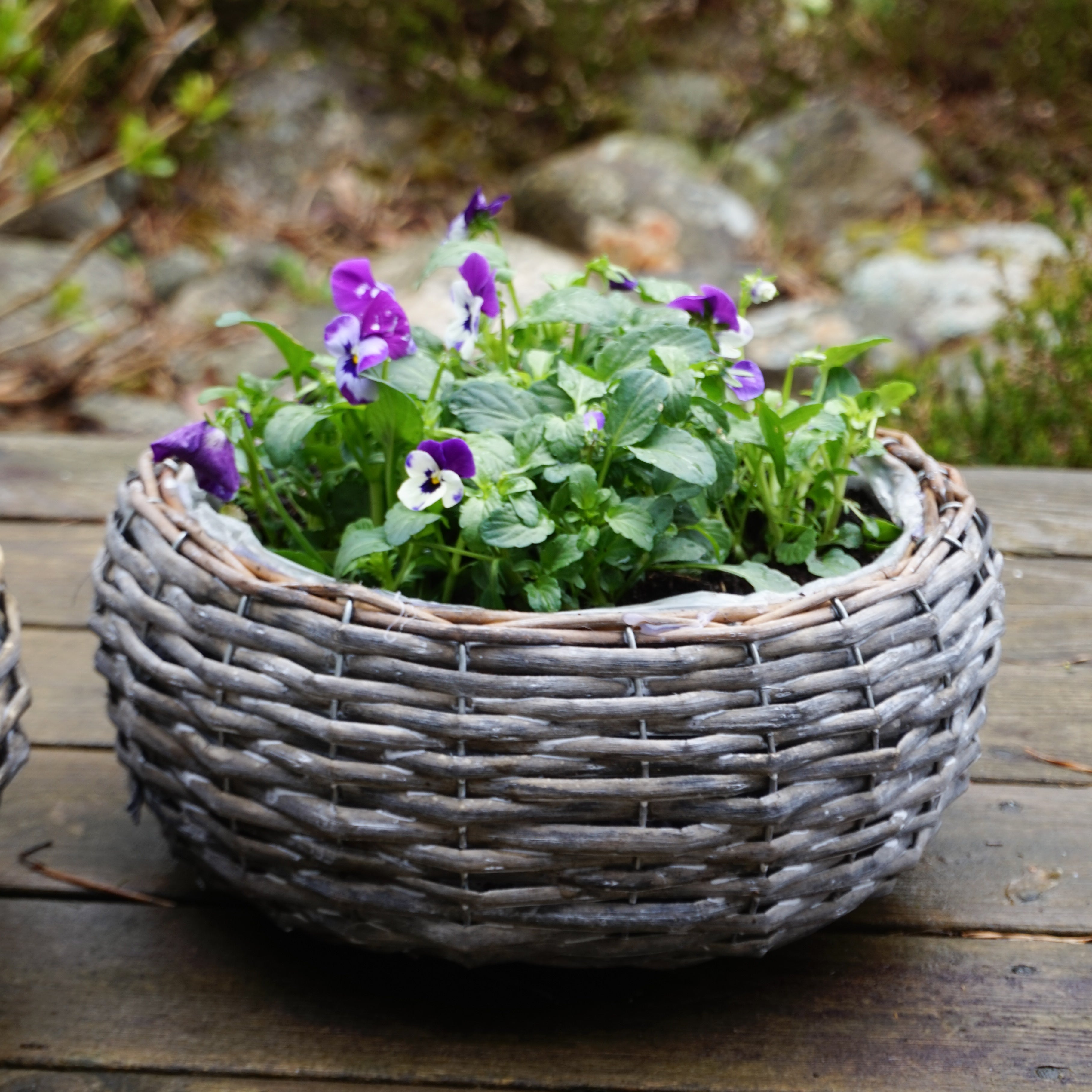 MINNA Plantering - medium