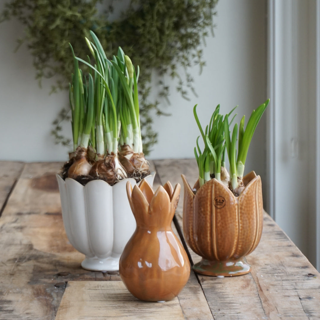 Vase tulipan - oker