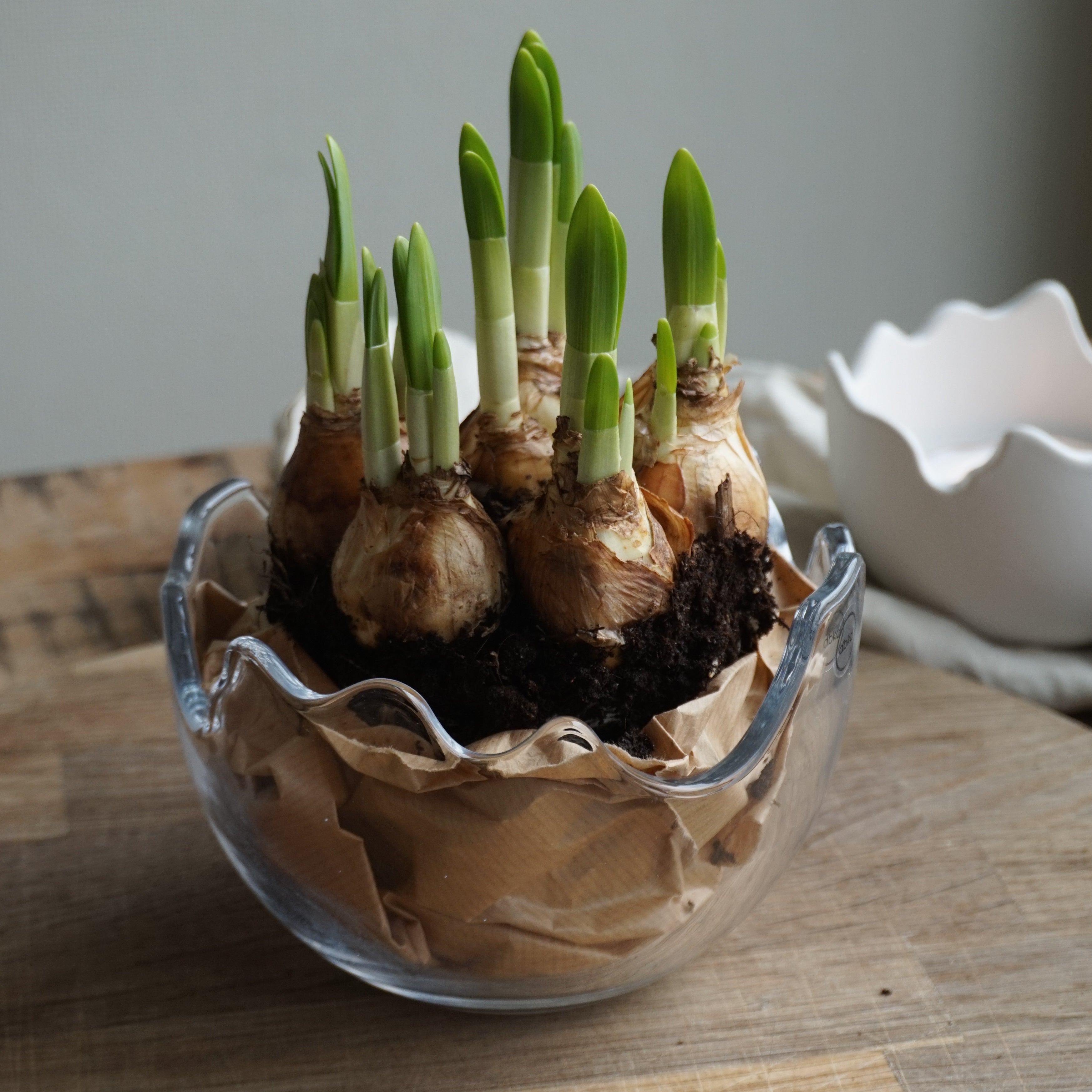 Easter eggshell glass - stor