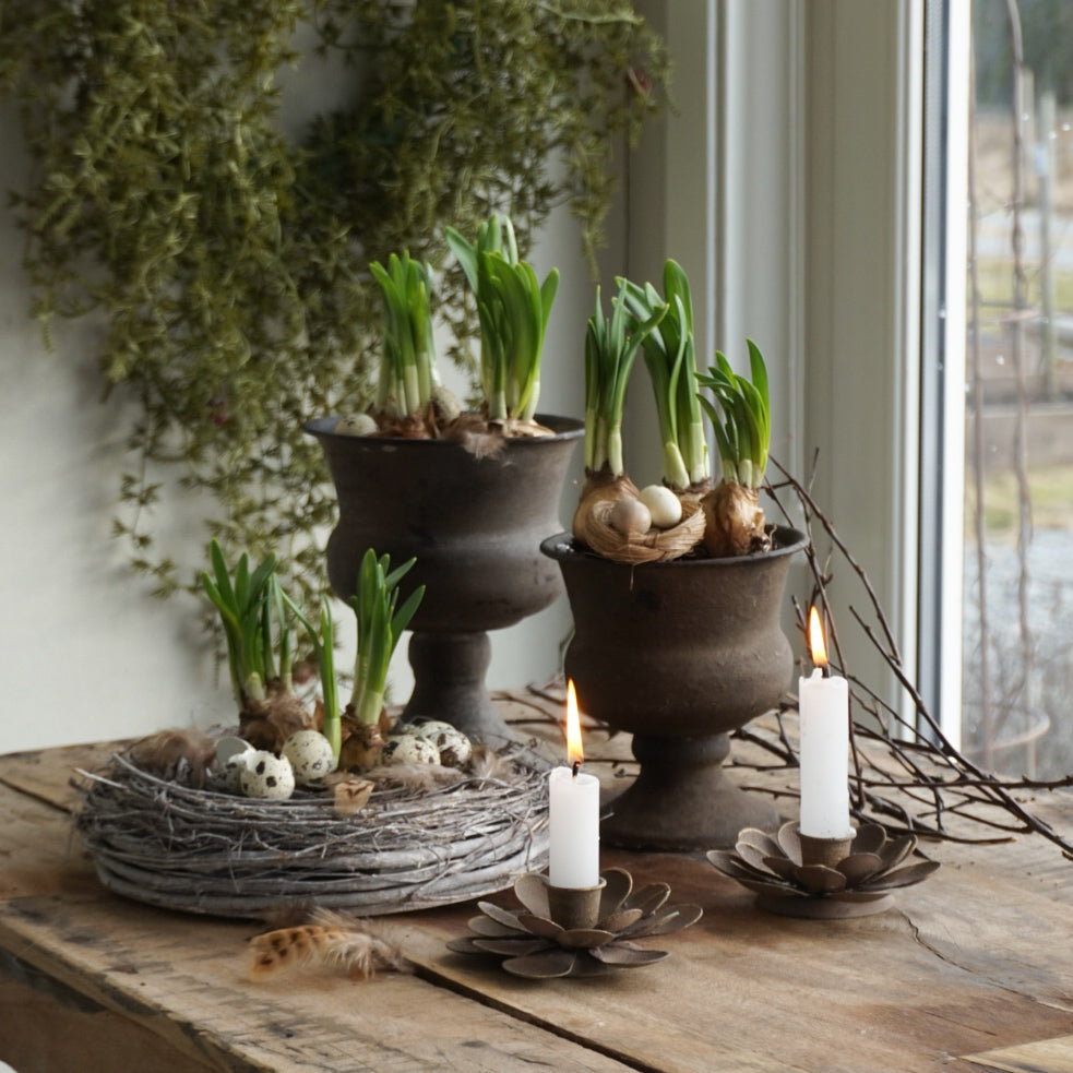 Runa plantering - liten