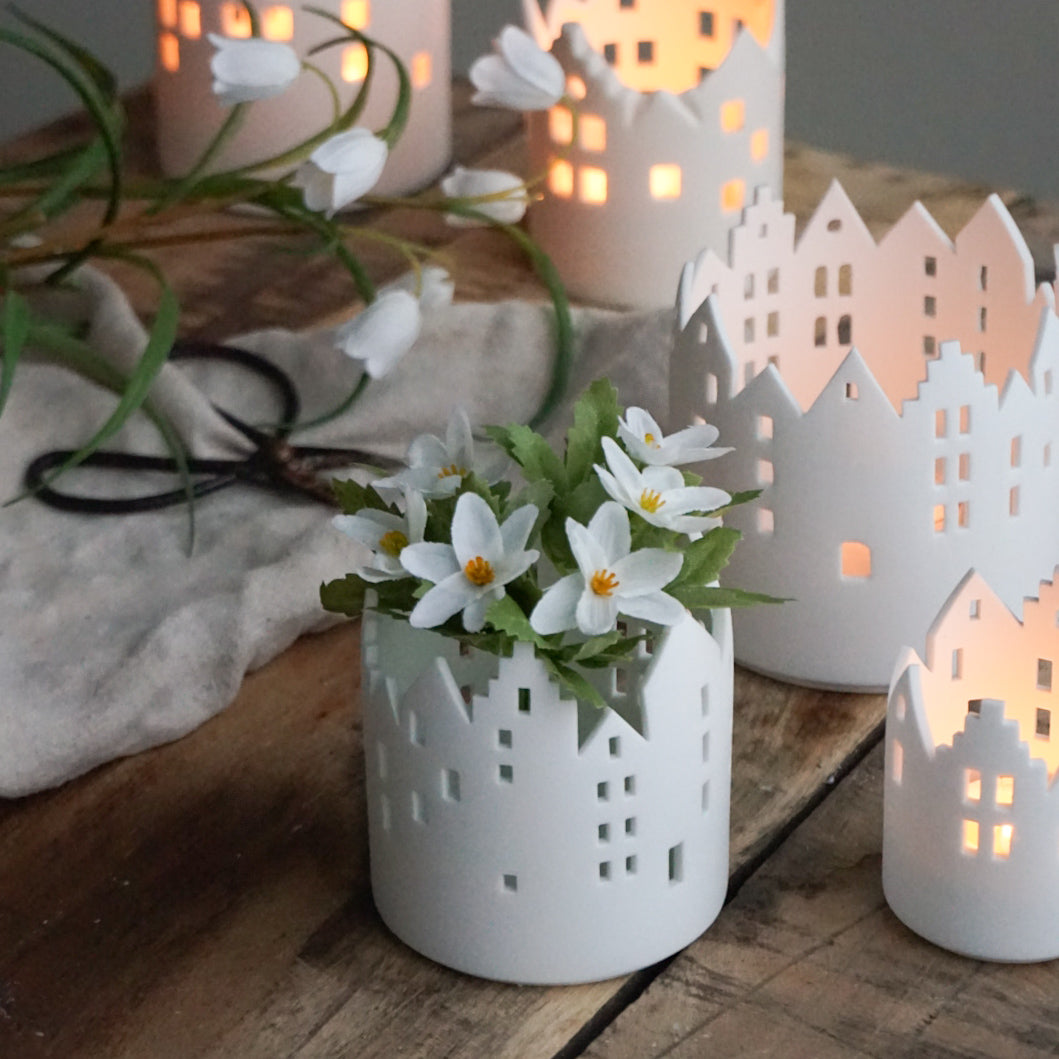 Hvitveis bukett - Mr Plant