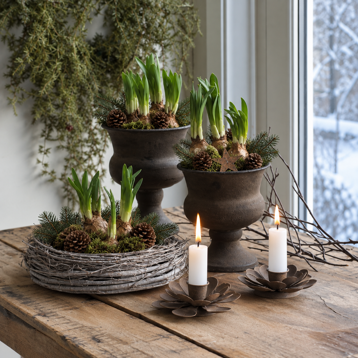 Runa plantering - liten