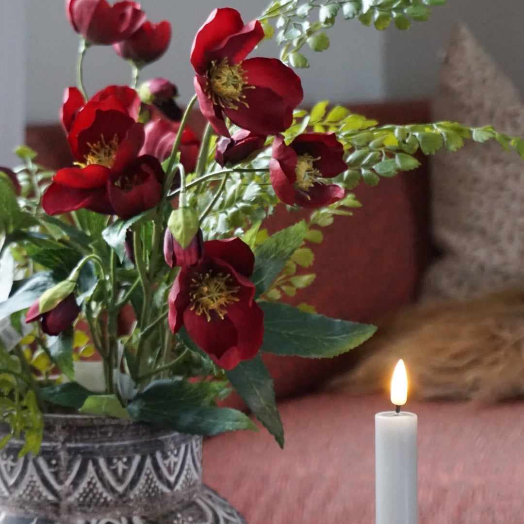 Bregne stilk - Mr Plant