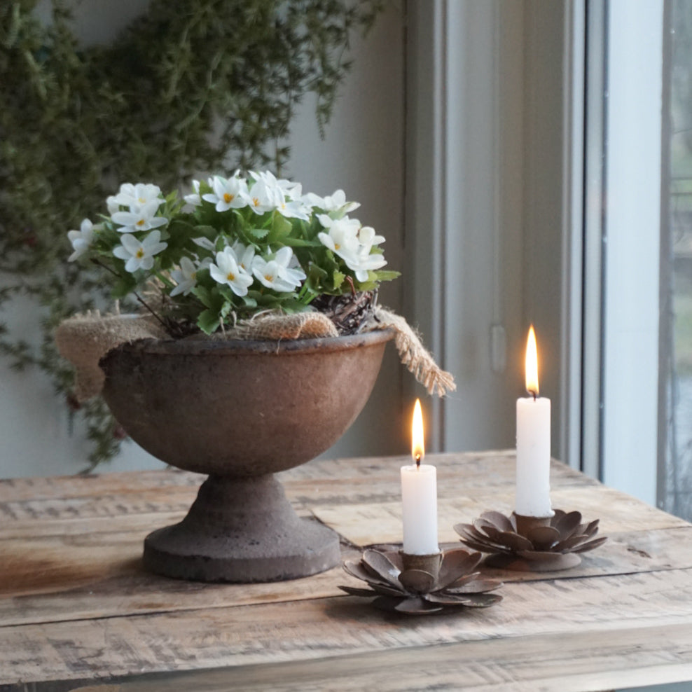 Lysestake blomst - brun