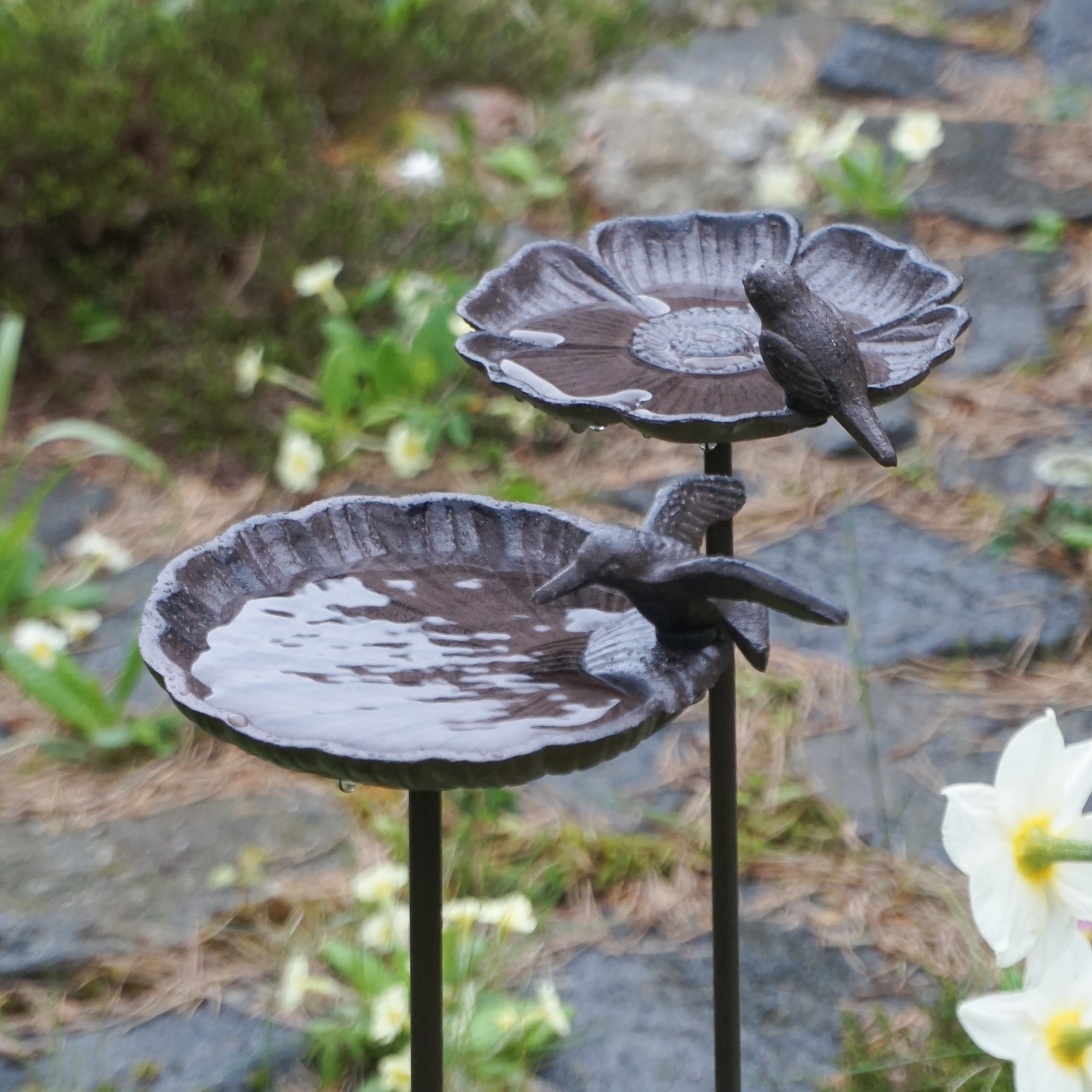 Fuglebad på pinne - blad