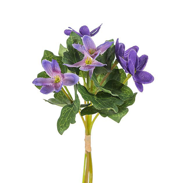 Blåveis bukett - Mr Plant