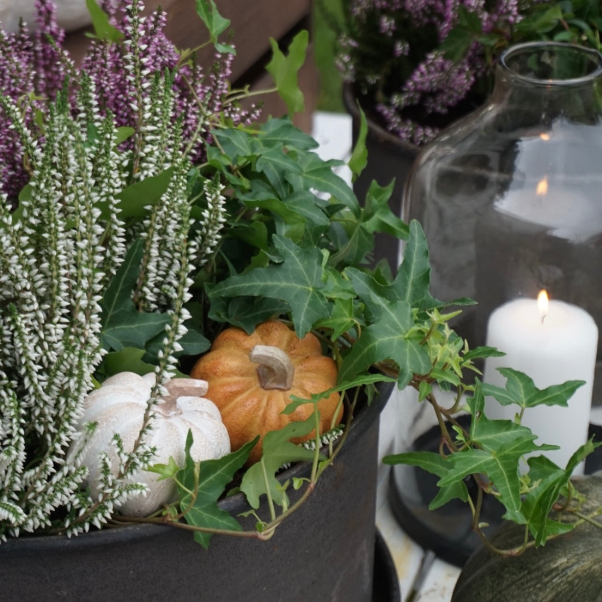 Dekor gresskar - liten oransje