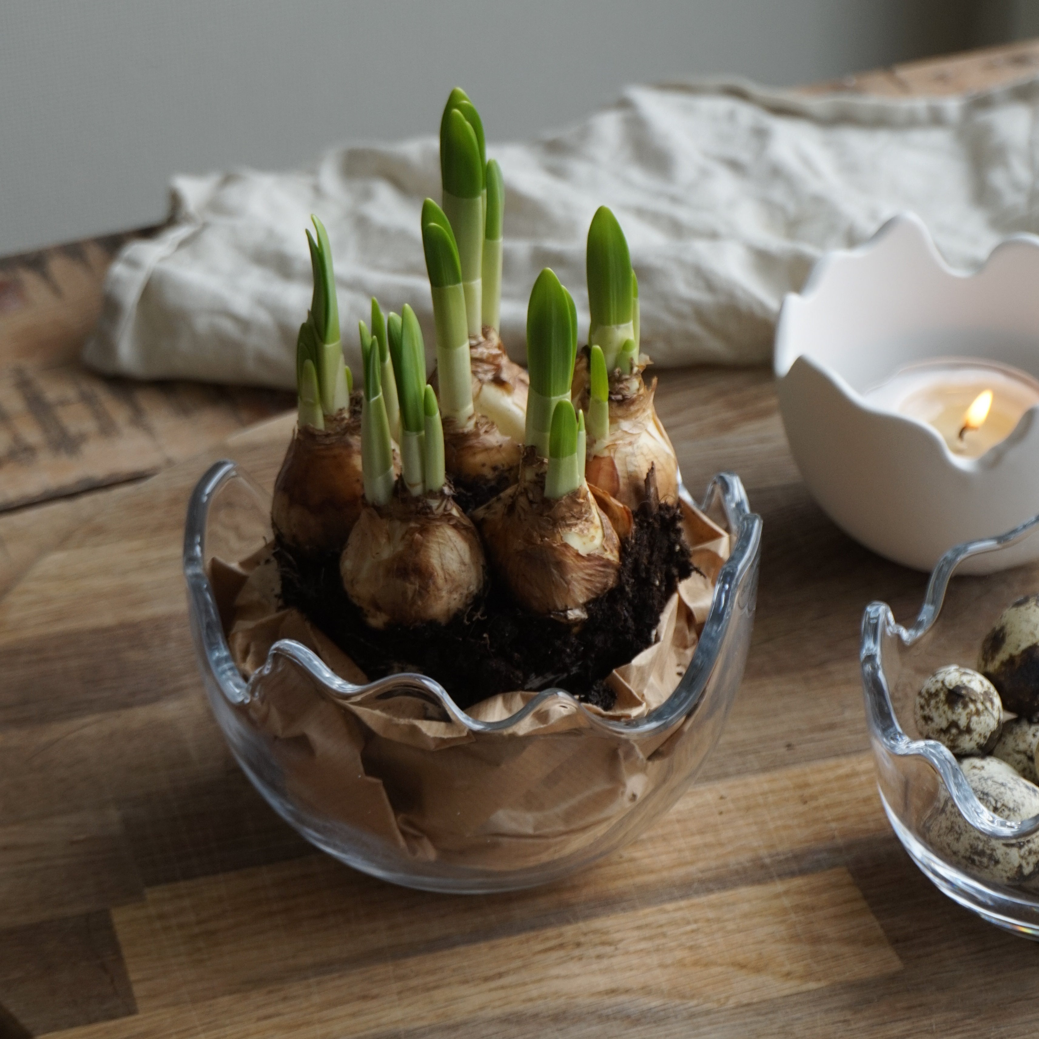 Easter eggshell glass - stor