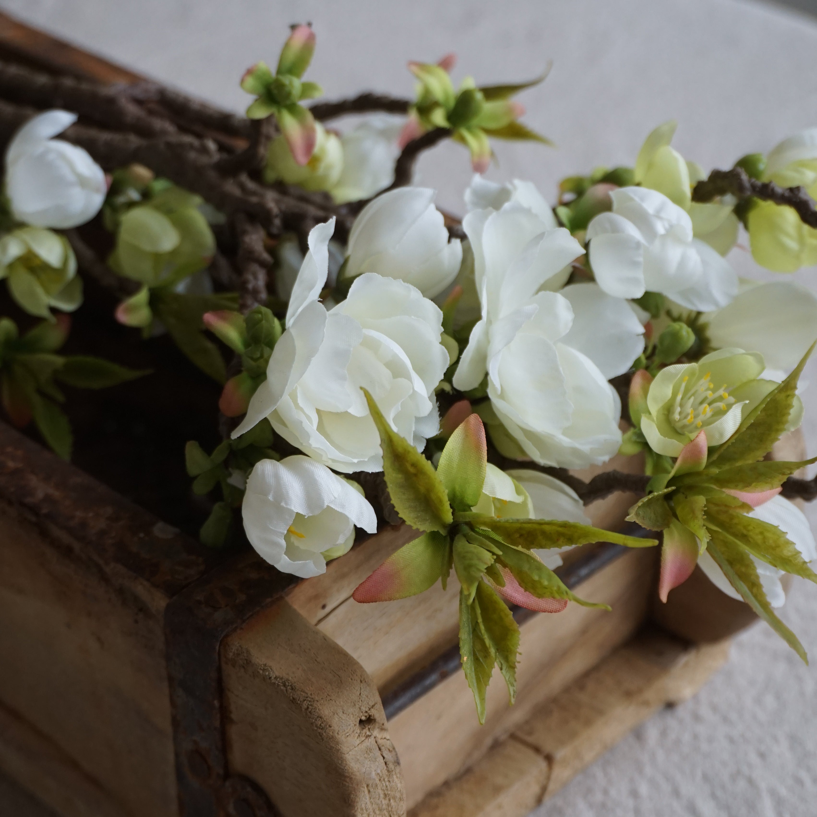 Epleblomst kvist - 40 cm