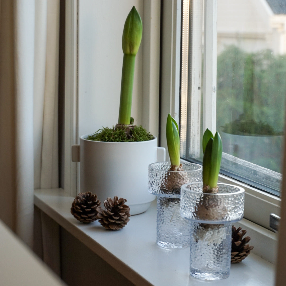 Svibel vase - keeper liten