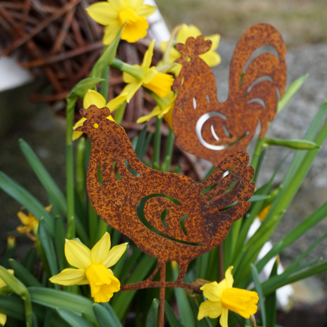 Hane og høne på pinne - rust