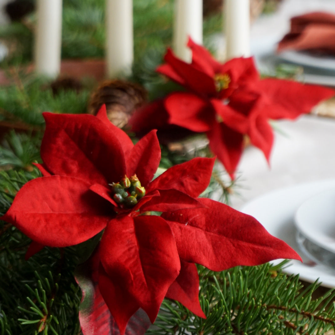 Julestjerne med klips - rød