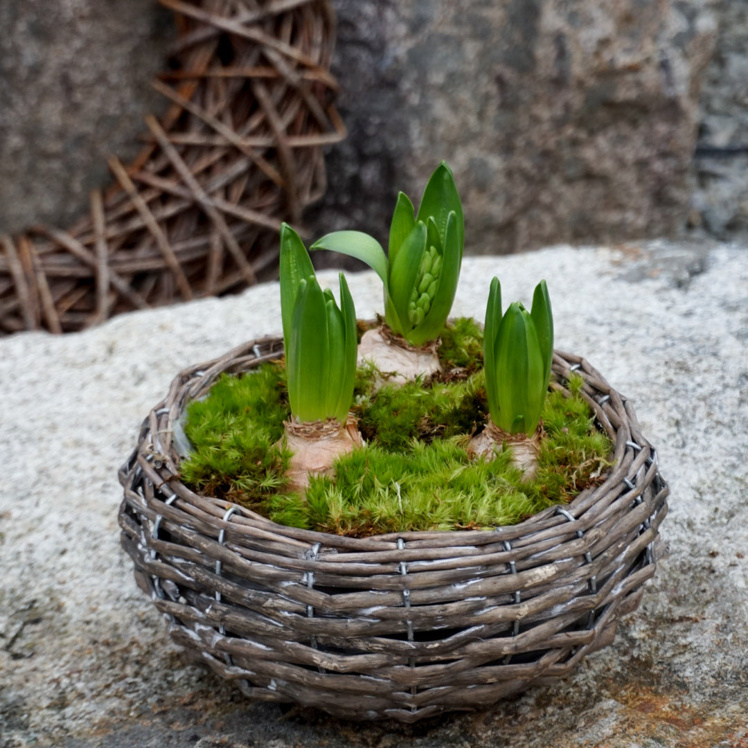 MINNA Plantering - liten