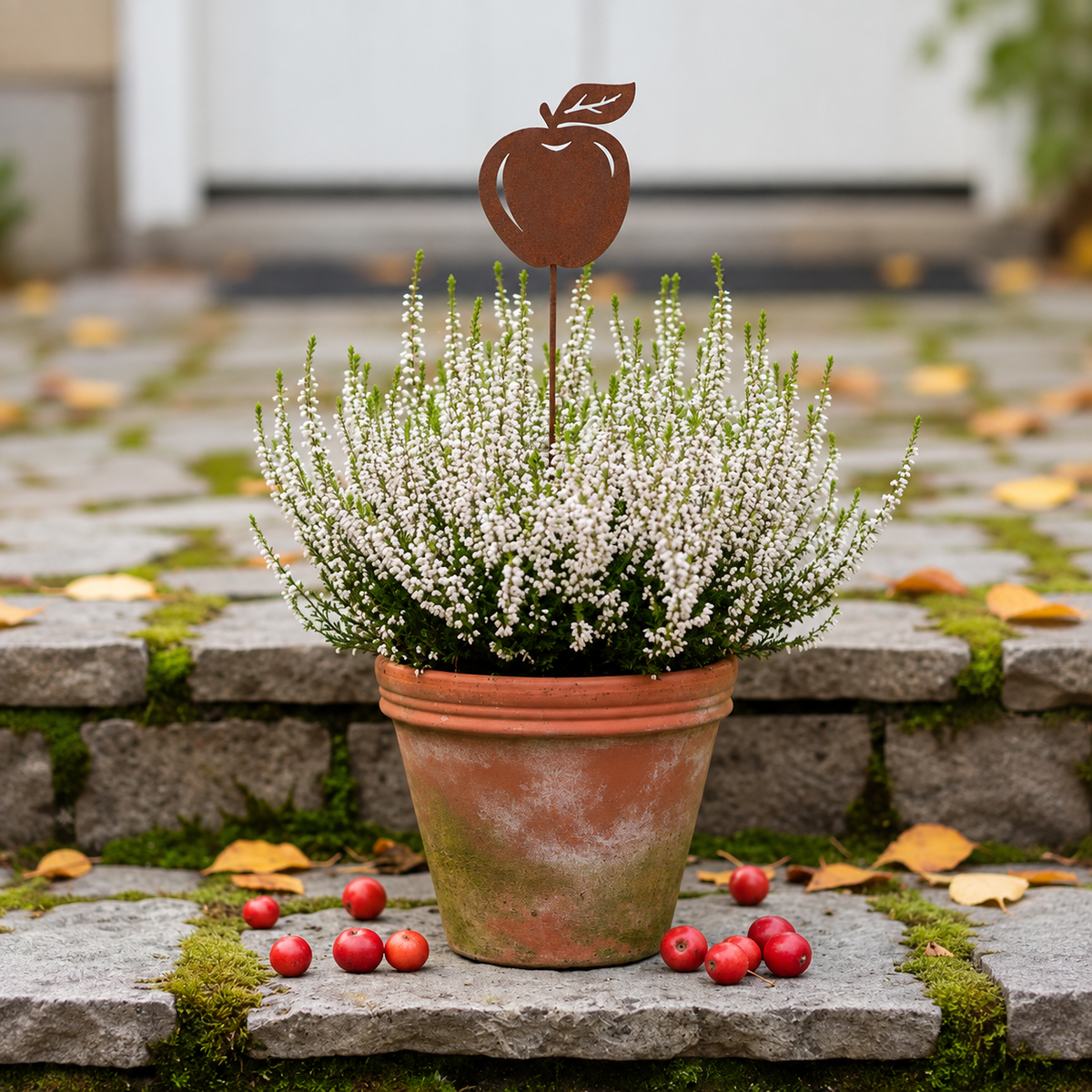 Eple på pinne