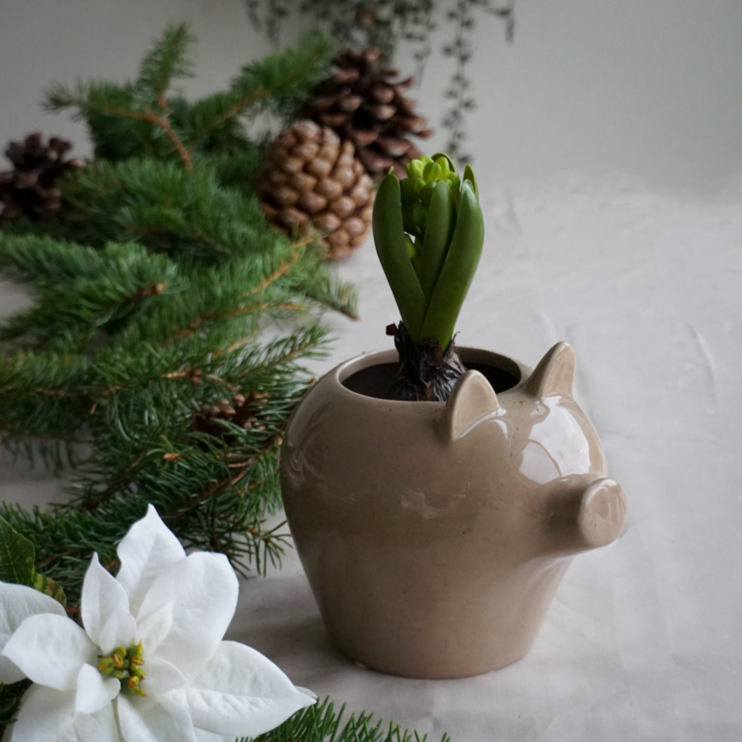 Krukke julegris - brun liten