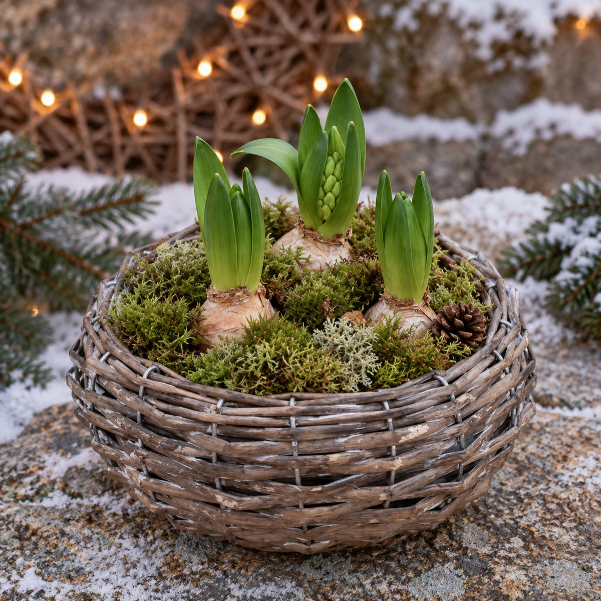 MINNA Plantering - liten