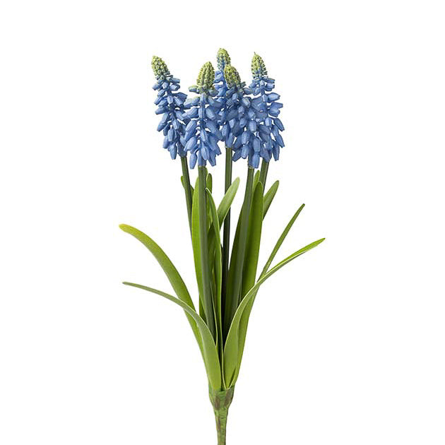 Perleblomst bukett blå - Mr Plant