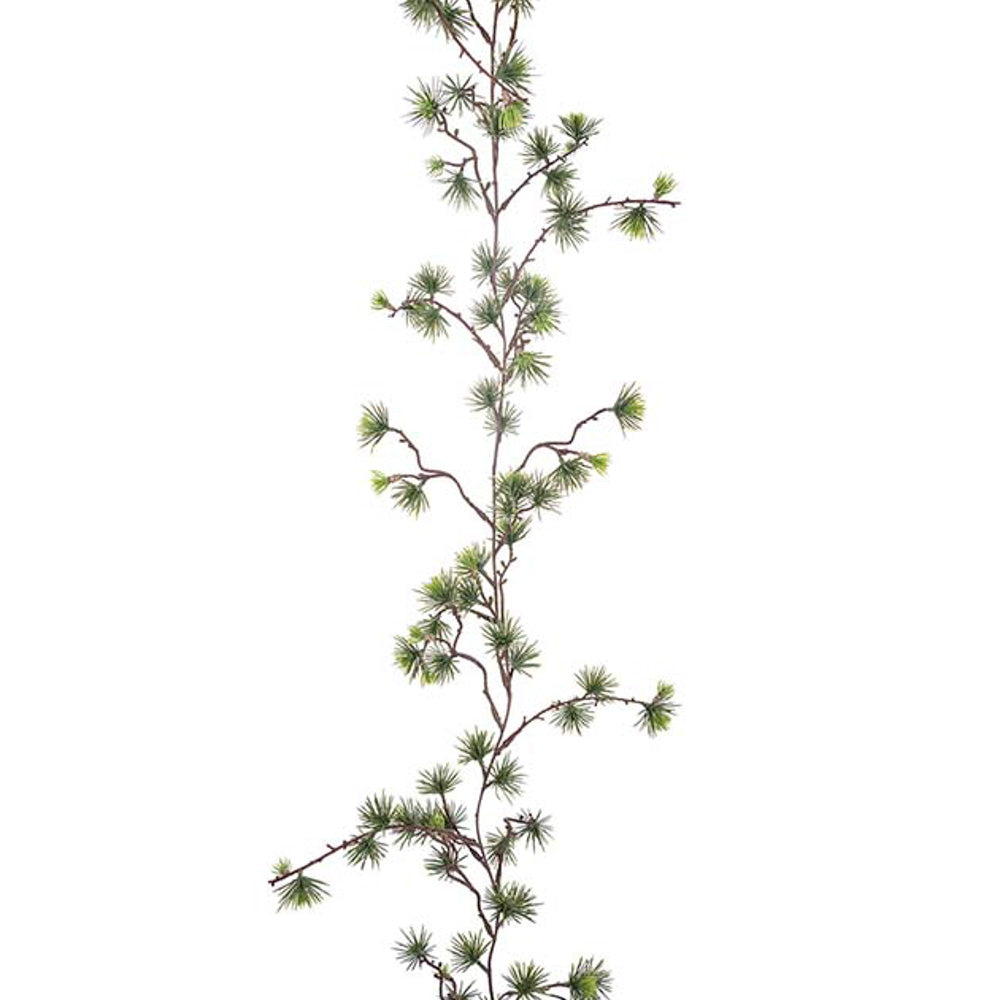 Girlander lerk - Mr Plant