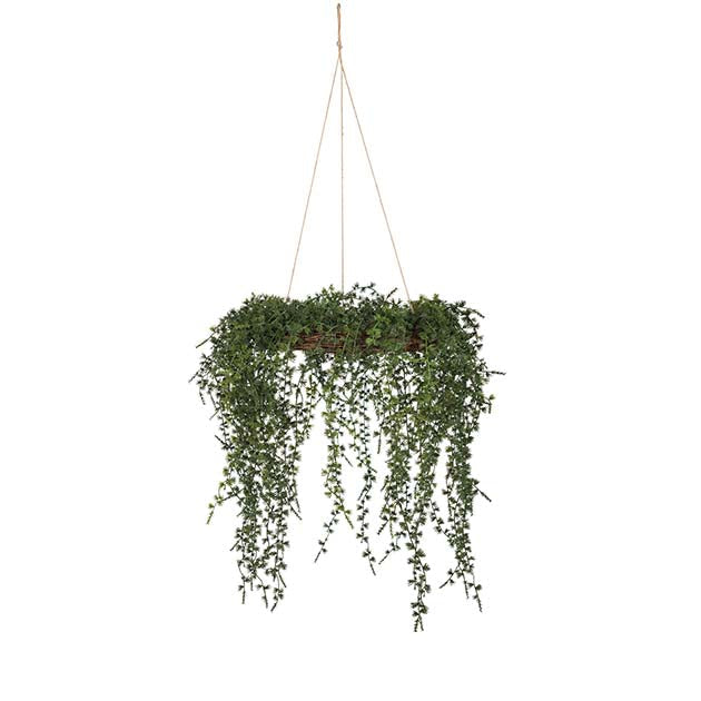 Lerkekrans hengende - Mr Plant