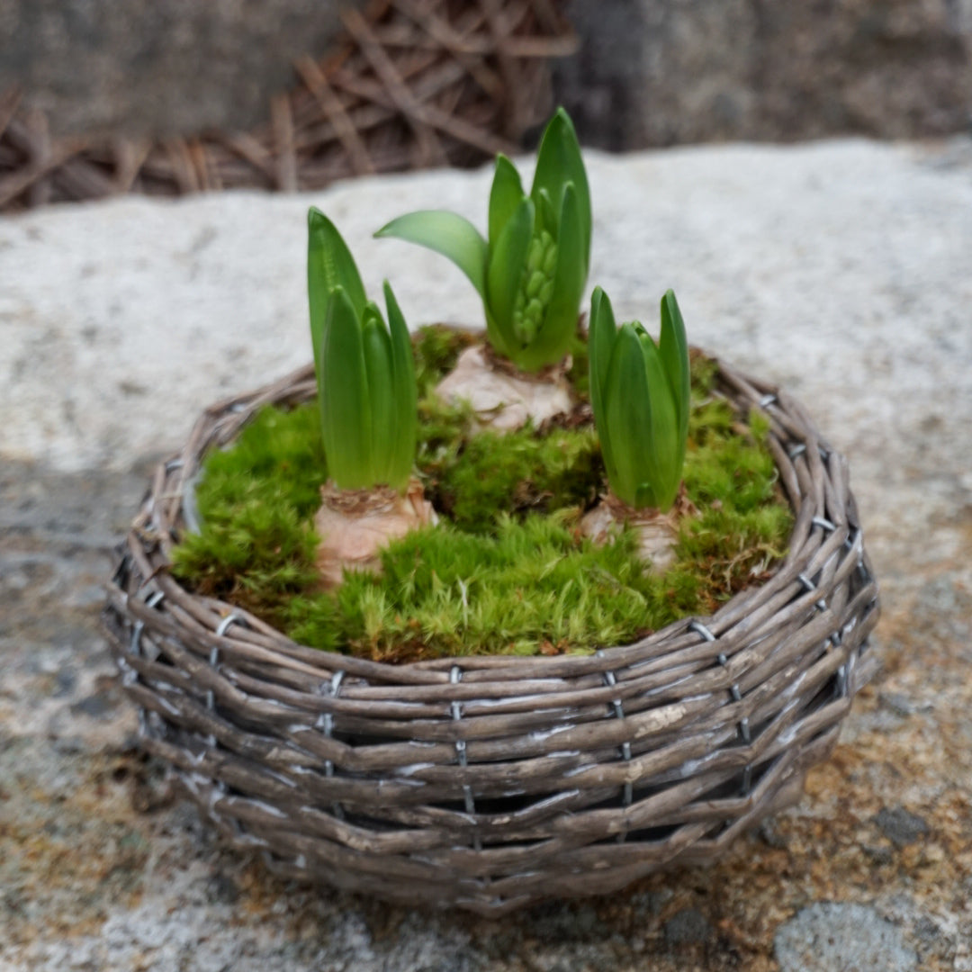 MINNA Plantering - liten