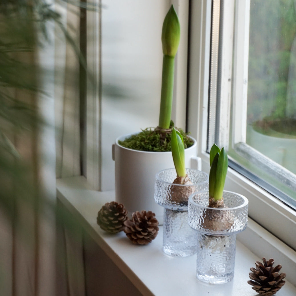 Svibel vase - keeper liten