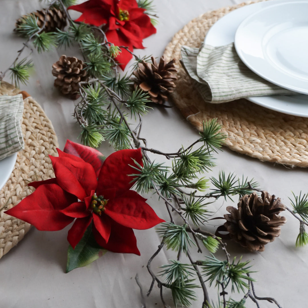 Girlander lerk - Mr Plant