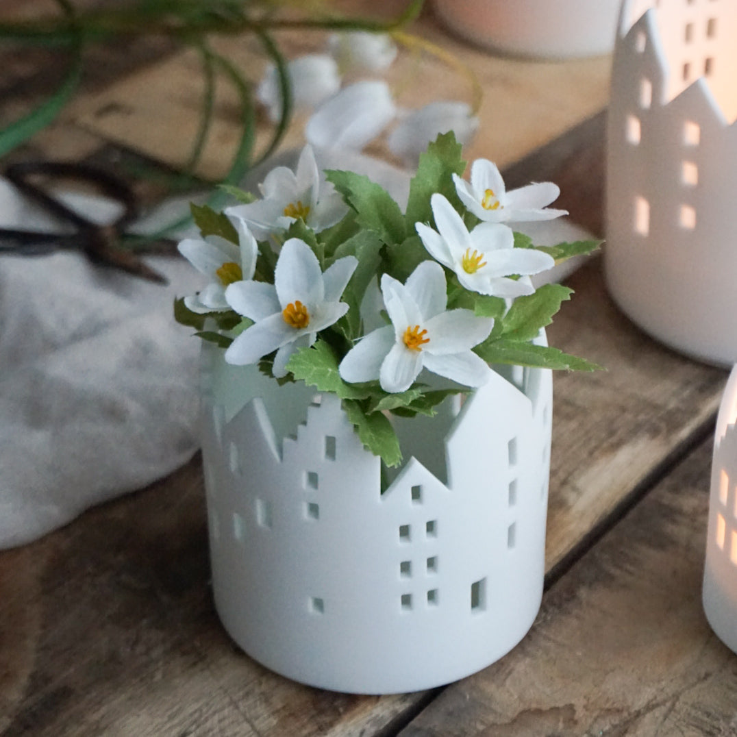 Hvitveis bukett - Mr Plant