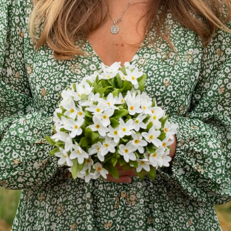 Hvitveis bukett - Mr Plant