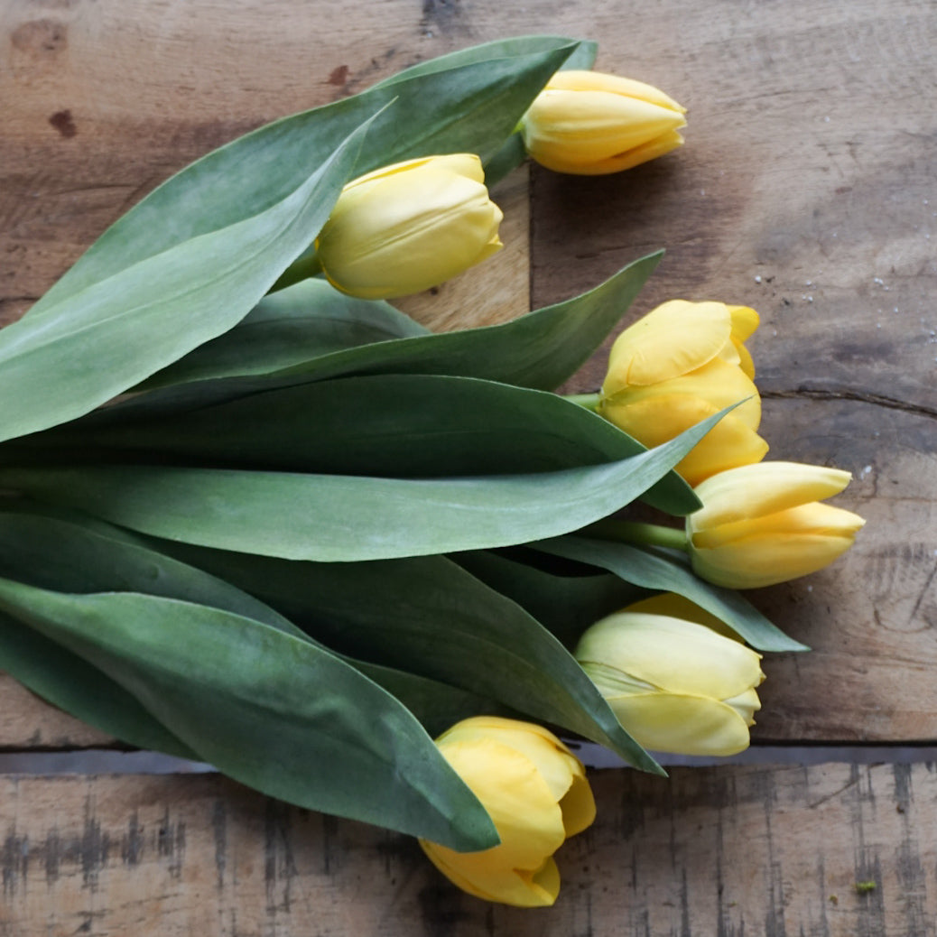 Tulipan bukett gul - 6 stk