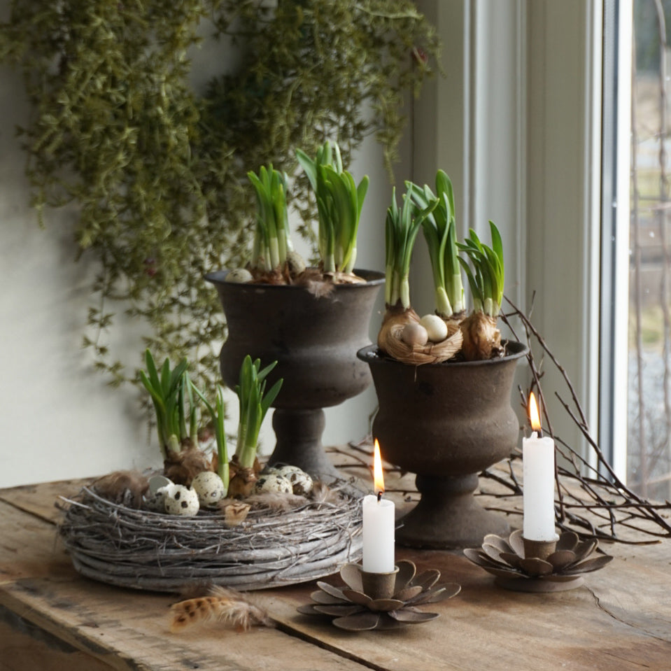 Lysestake blomst - brun