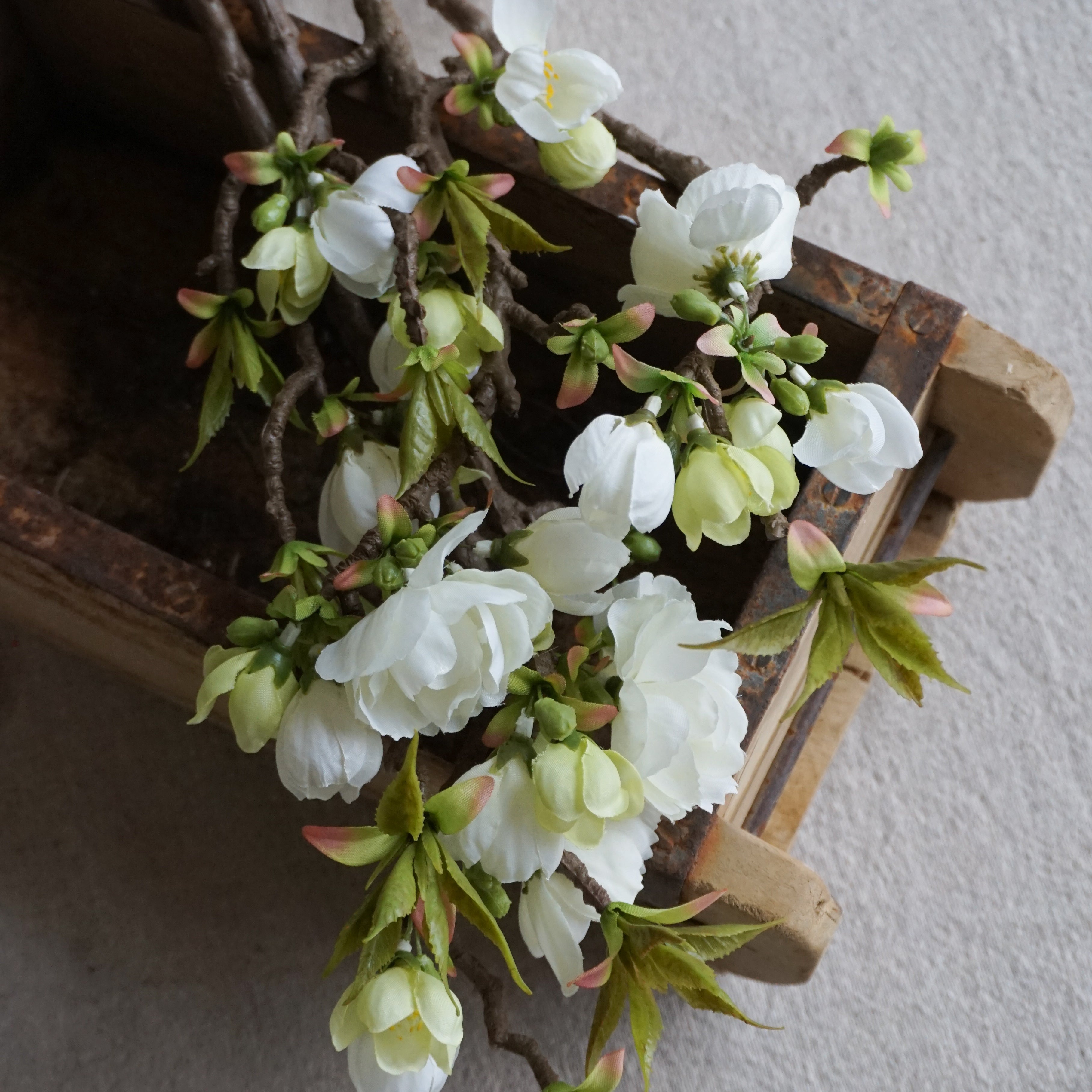 Epleblomst kvist - 40 cm