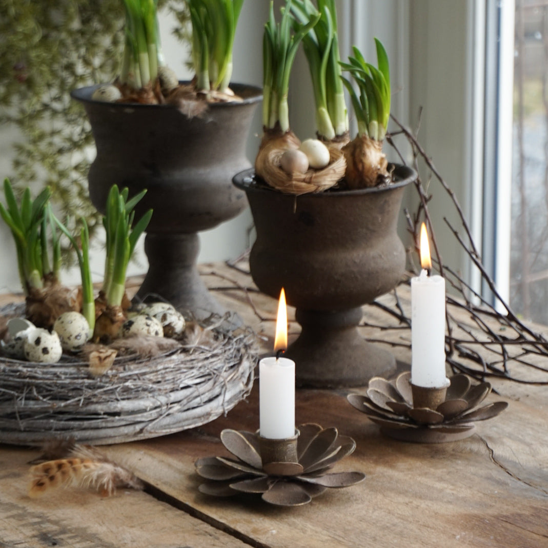 Lysestake blomst - brun