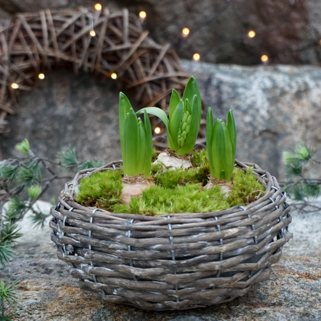 MINNA Plantering - liten