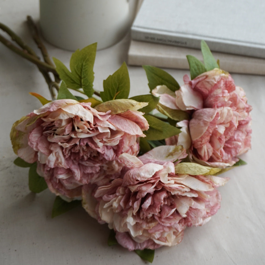 Peon rosa - 46 cm