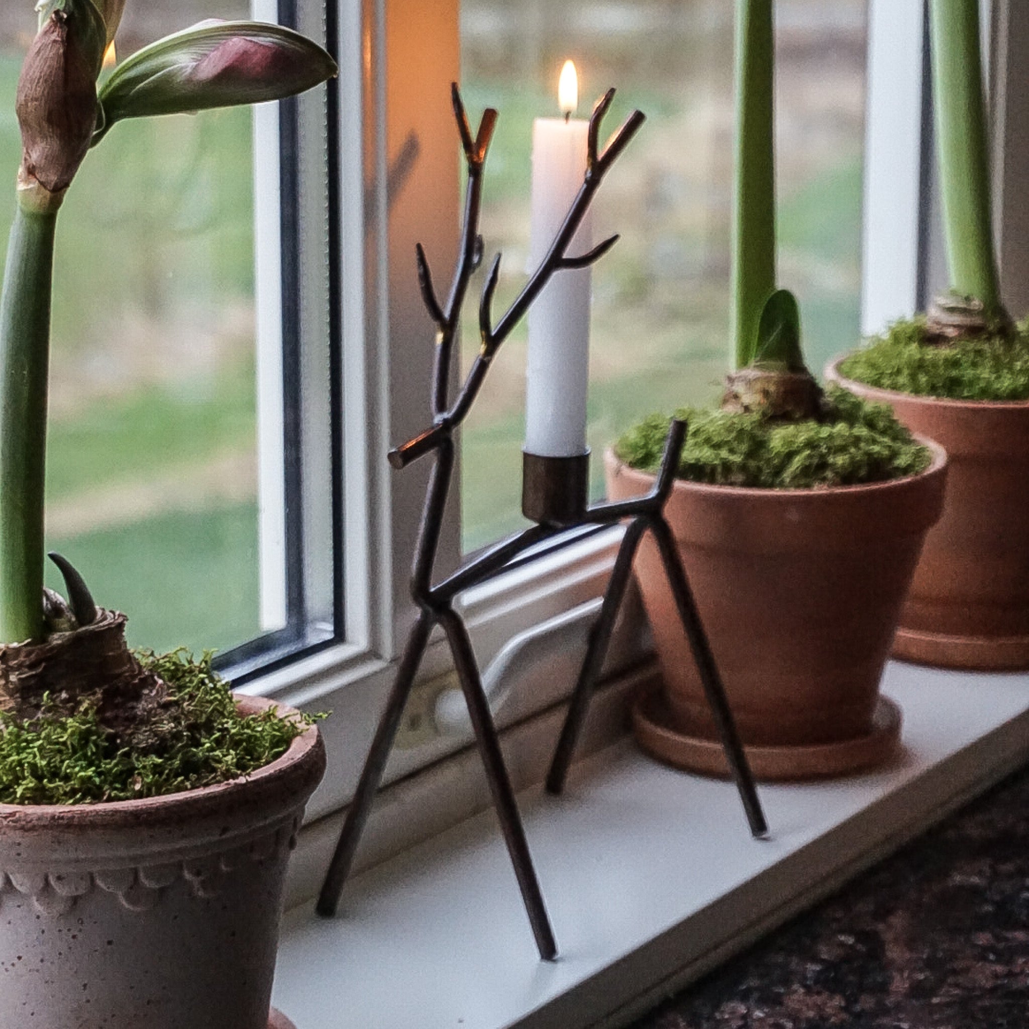 Lysestake reinsdyr - medium