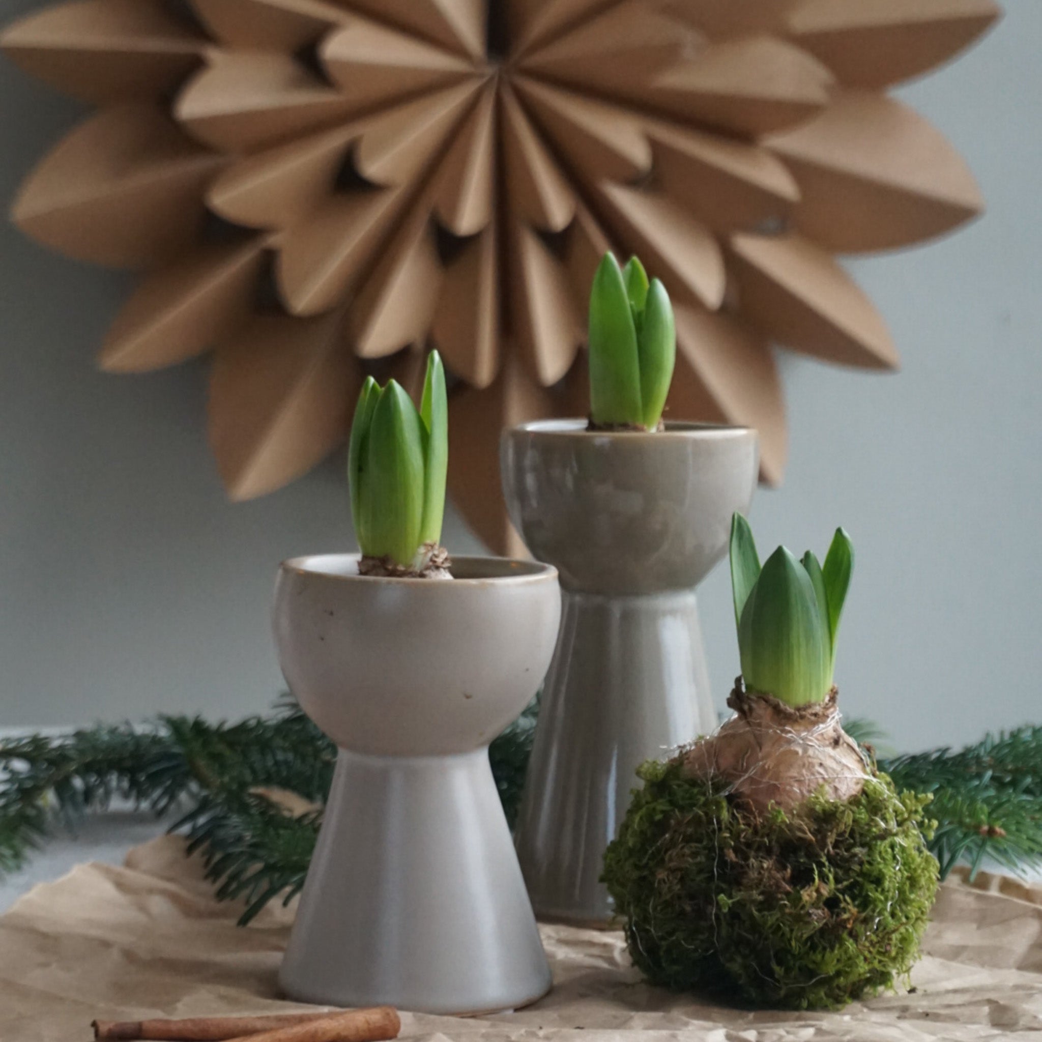 Mandy svibel vase - lav