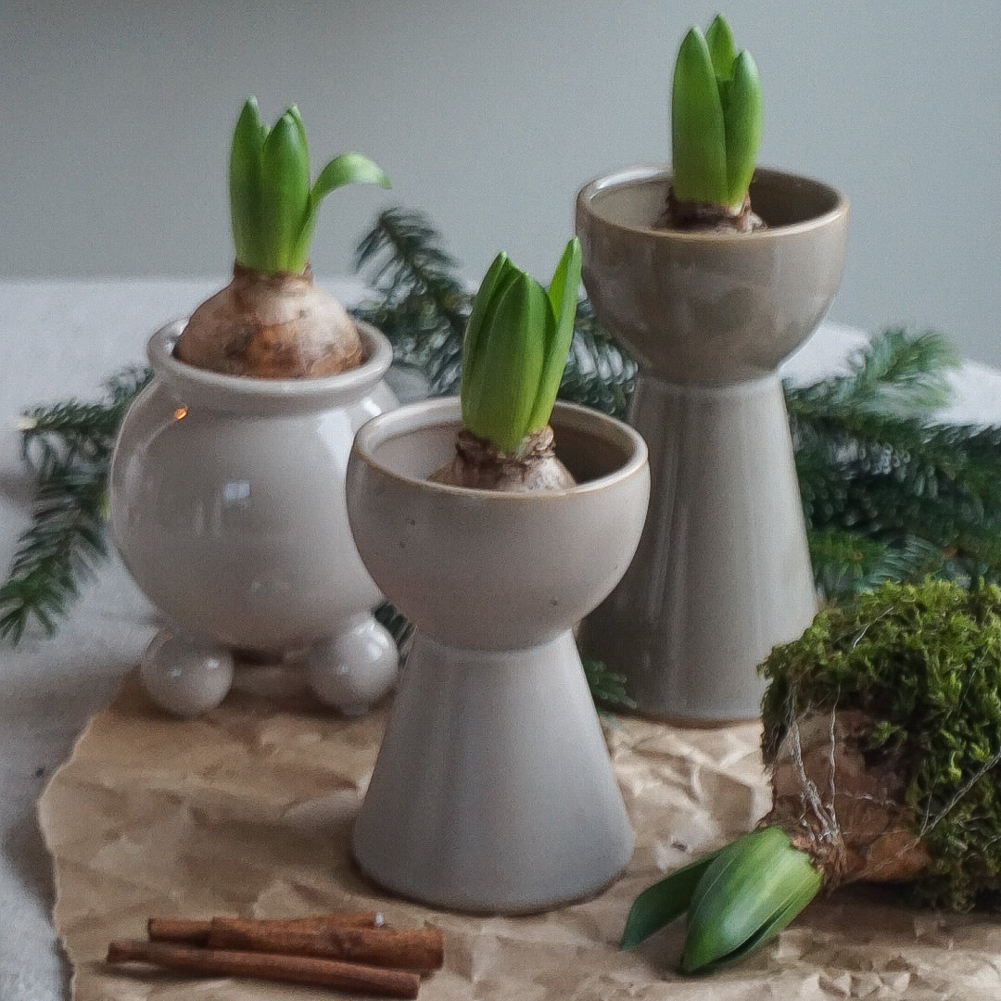 Mandy svibel vase - lav
