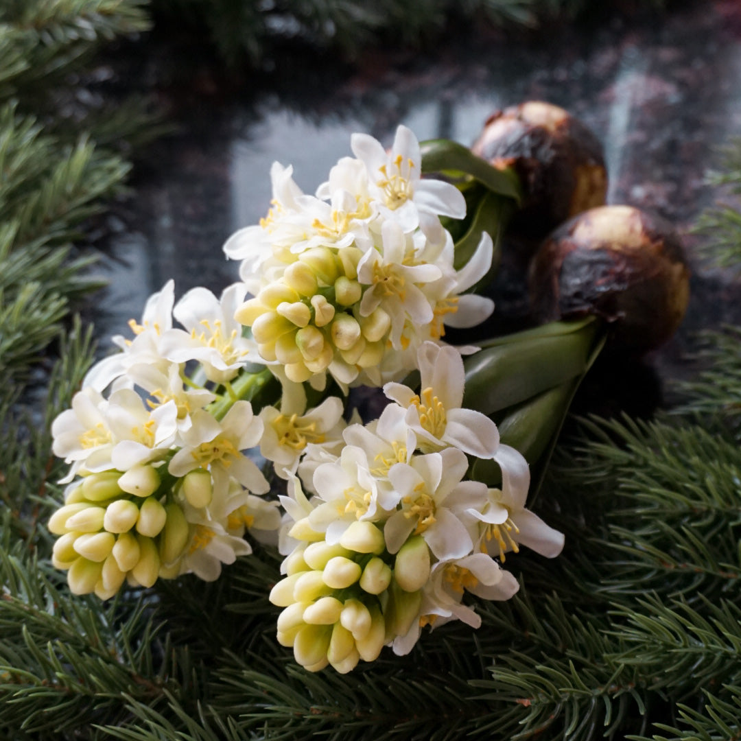 Kunstig svibel med blomster - Mr Plant