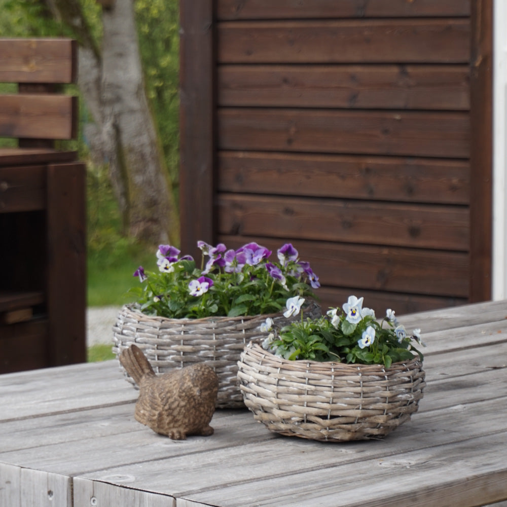 MINNA Plantering - liten