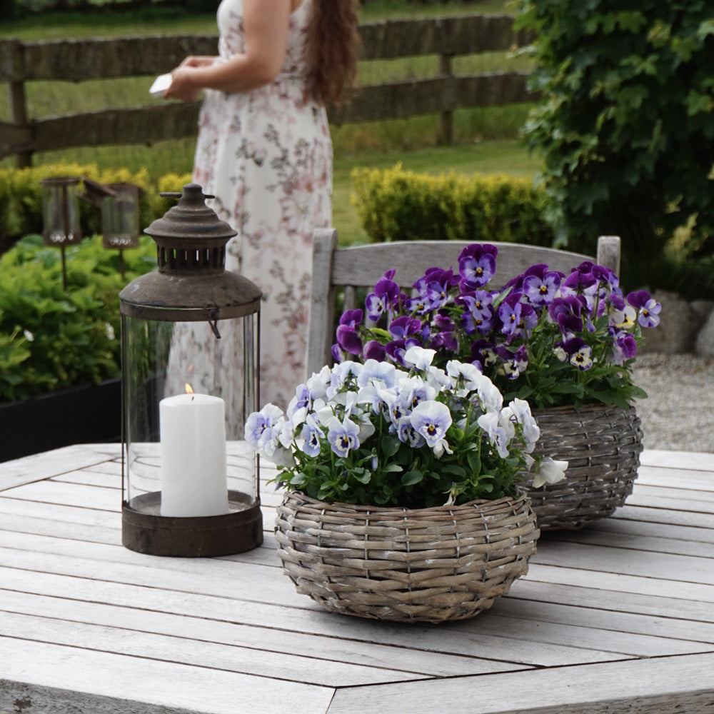 MINNA Plantering - liten