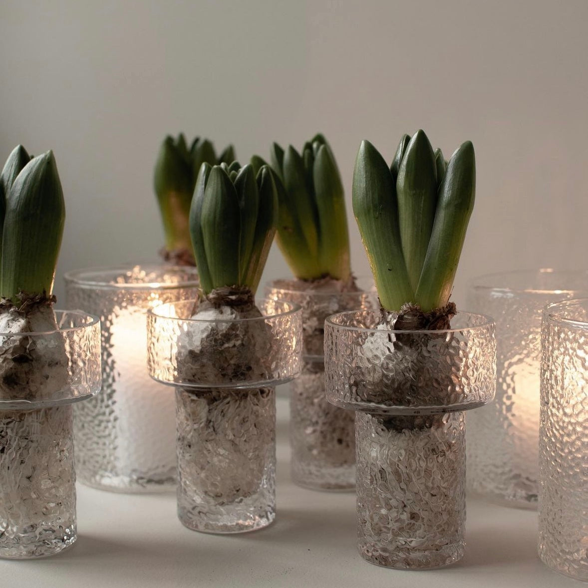 Svibel vase - keeper liten