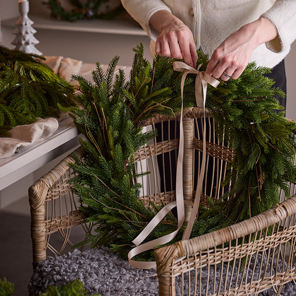 Krans granbar - Mr Plant