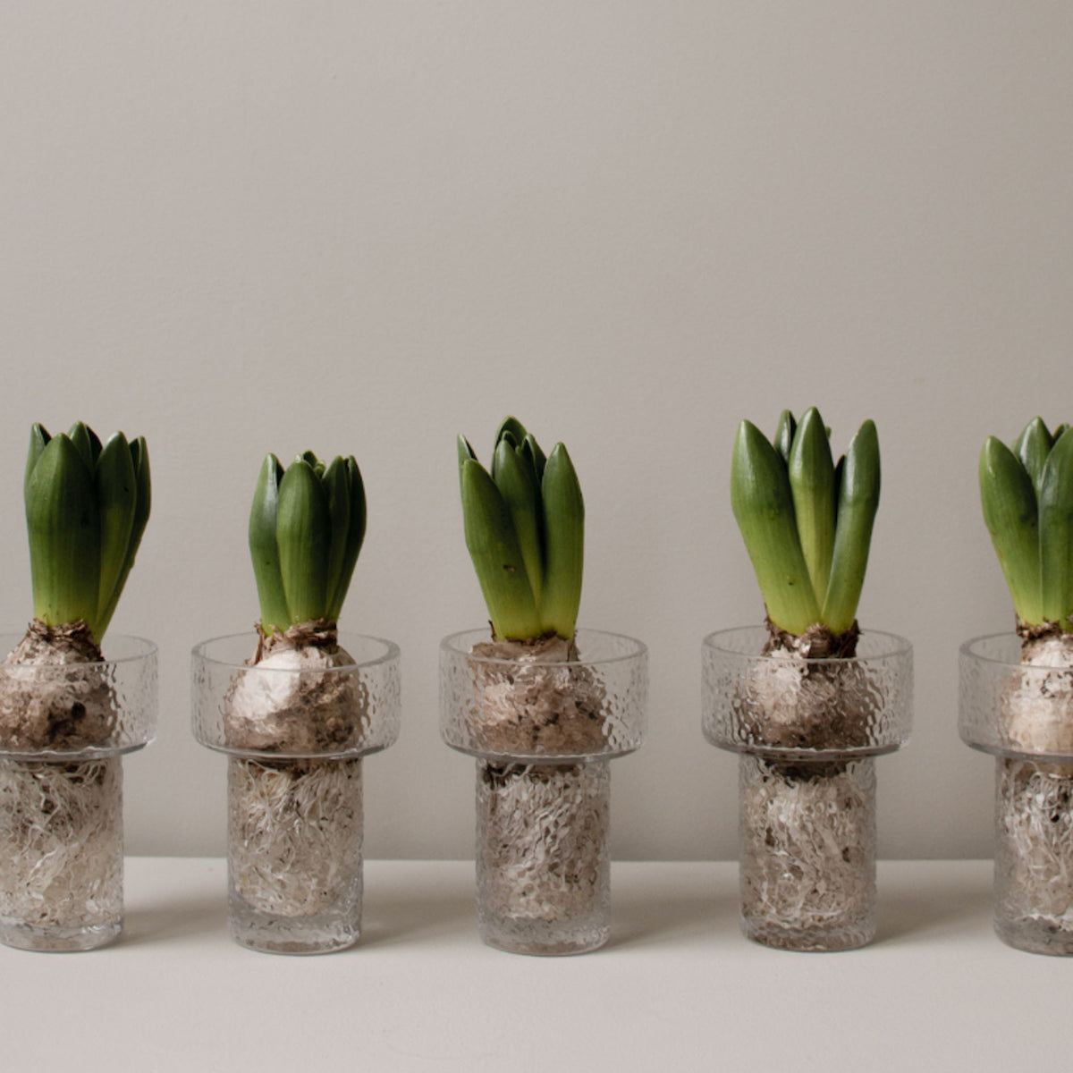 Svibel vase - keeper liten