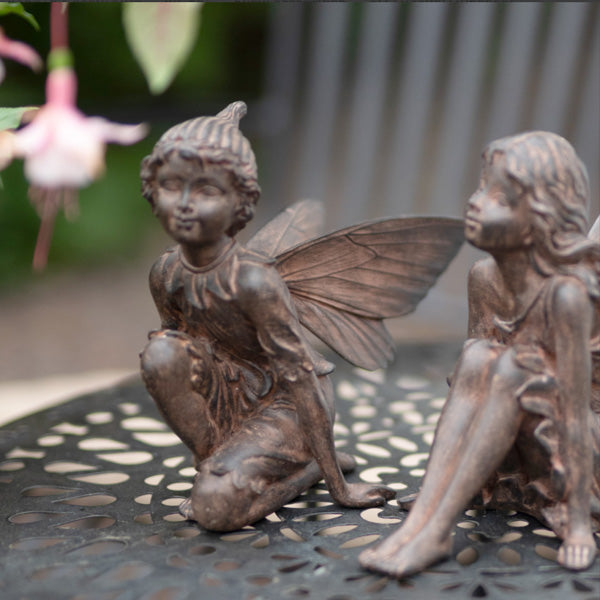 Fairy boy - hagedekor