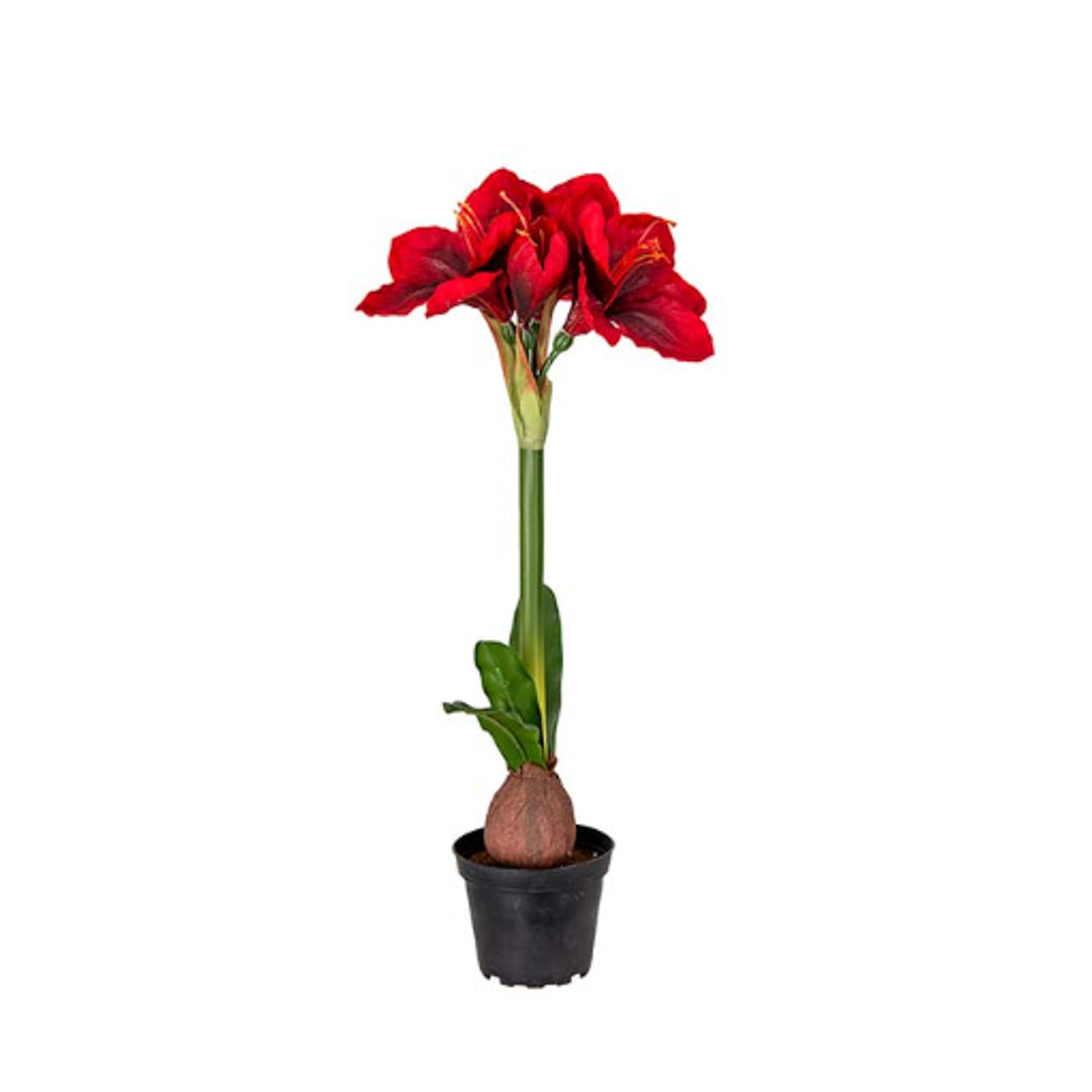 Kunstig amaryllis til krukke - Mr Plant