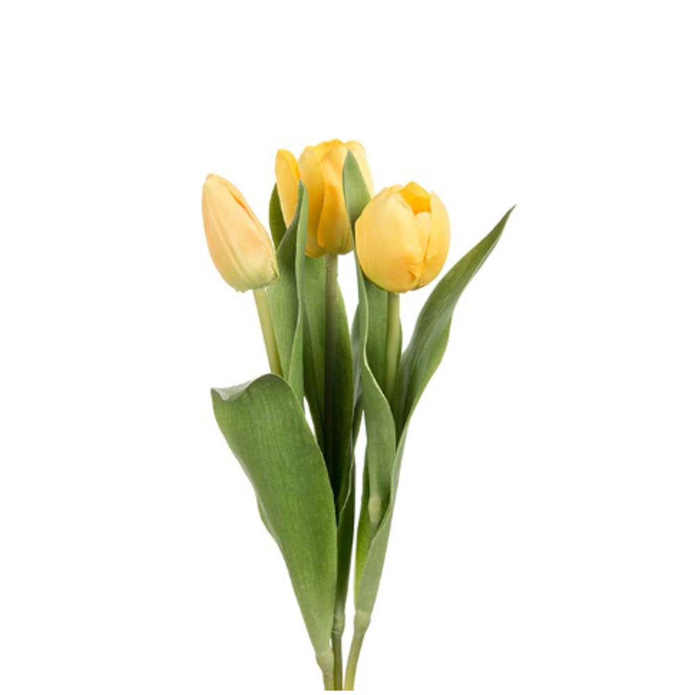 Tulipan bukett gul - 6 stk
