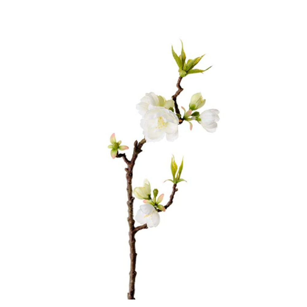 Epleblomst kvist - 40 cm