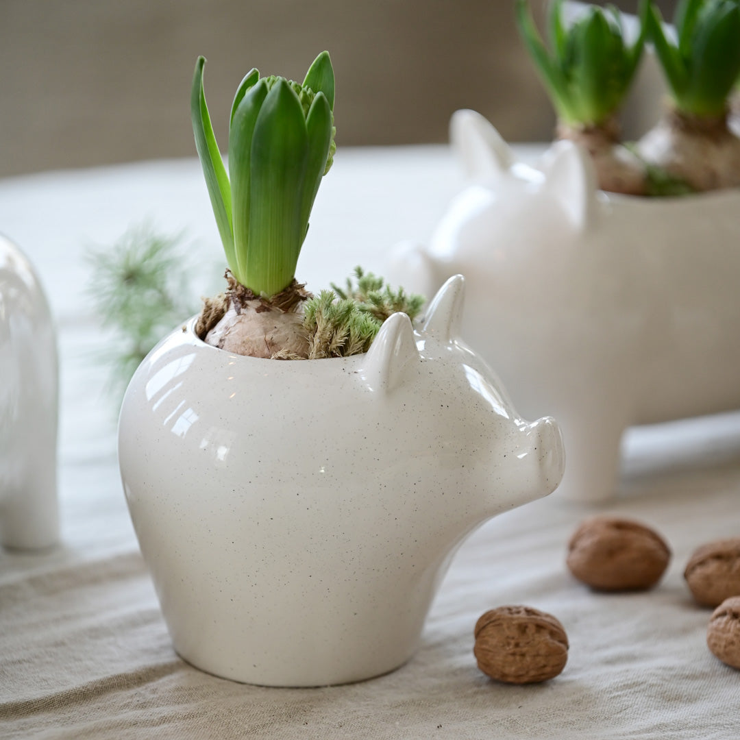 Krukke julegris hvit - liten