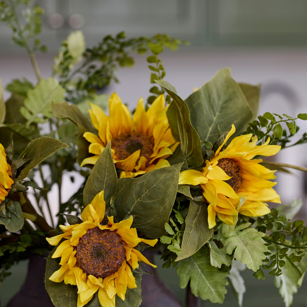 Bregne stilk - Mr Plant